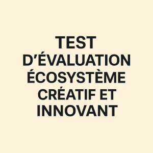 TEST D 'EVALUATION ECOSYSTEME CREATIF ET INNOVANT 399 euros