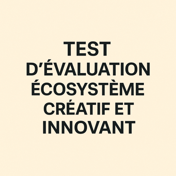 TEST D 'EVALUATION ECOSYSTEME CREATIF ET INNOVANT 399 euros